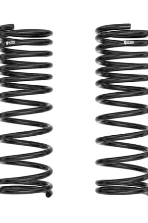 ICON 1997+ Nissan Patrol (Y61) 2in Rear Performance Spring Kit Authentic