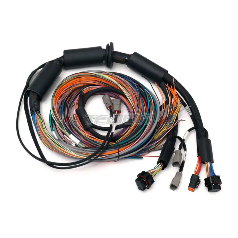 While Supplies Last Haltech Nexus R3 Universal Wire-in Harness - 2.5m (8')