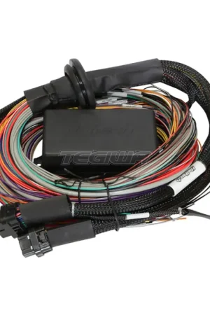 Order Now Haltech Elite 2500 & 2500 T Premium Universal Wire-in Harness - 3M