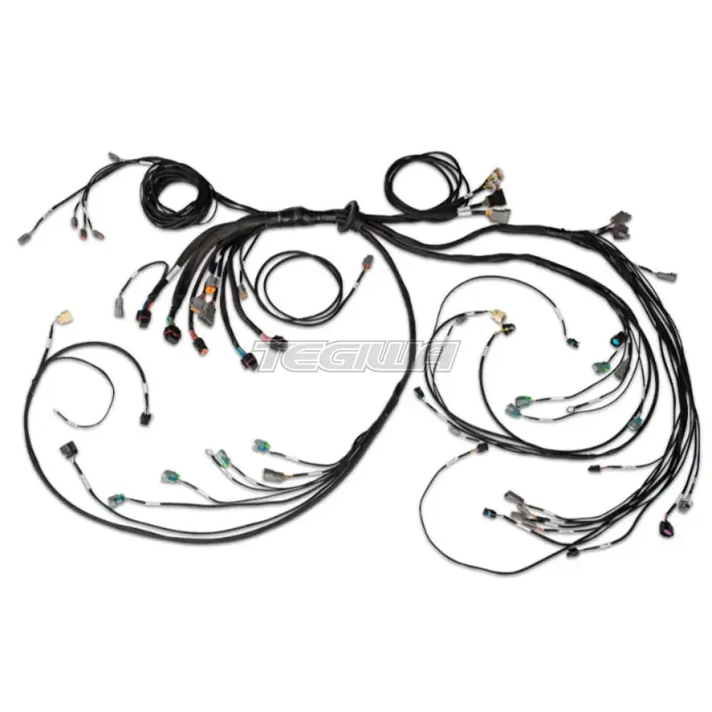 Warranty Included Haltech Nexus R5 LSx DBW Terminated Harness - DBW ready