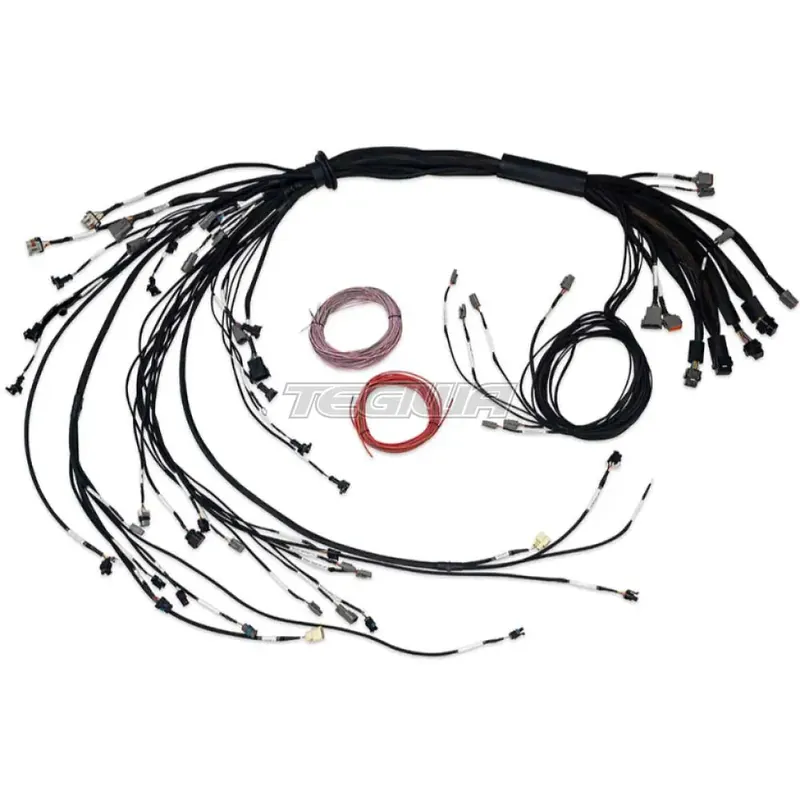 Flash Sale Haltech Nexus R5 LSx Non DBW Terminated Harness