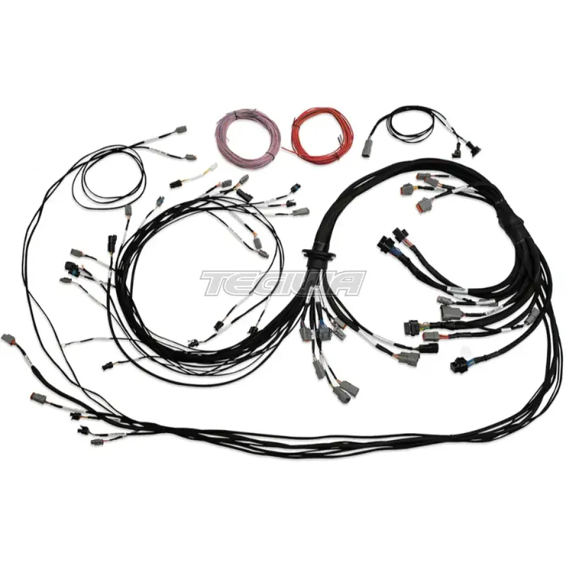 Express Delivery Haltech Universal V8 Terminated Engine Harness for Nexus R5 VCU