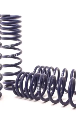 H&R 96-00 Honda Civic Si 2/4 Door Sport Spring — PMD Premier Motoring Development Buy Online