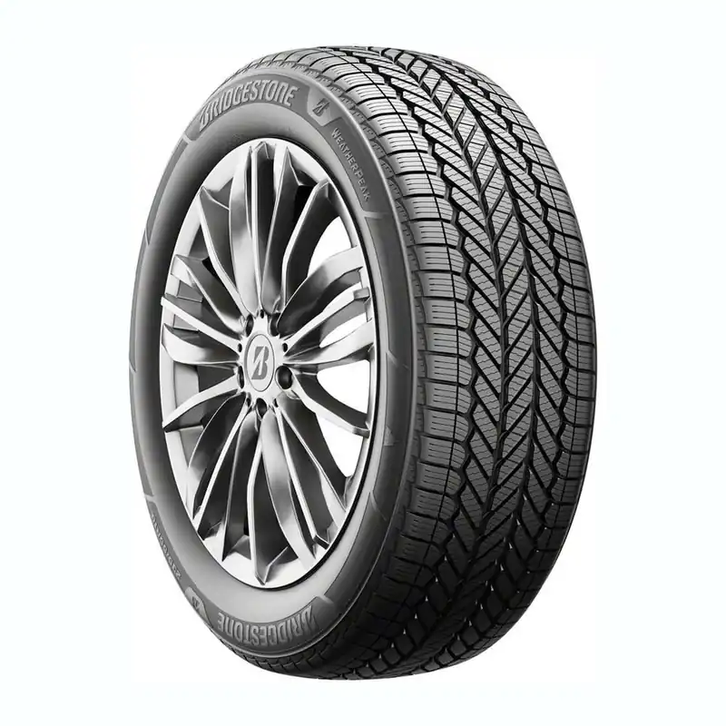 Professional Grade Bridgestone Weatherpeak Tire
