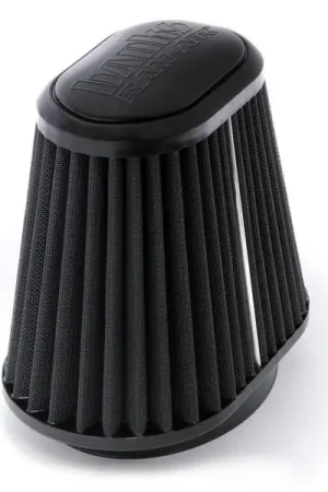 One Day Deal Banks Power 03-08 Ford 5.4 & 6.0L Ram Air System Air Filter Element - Dry