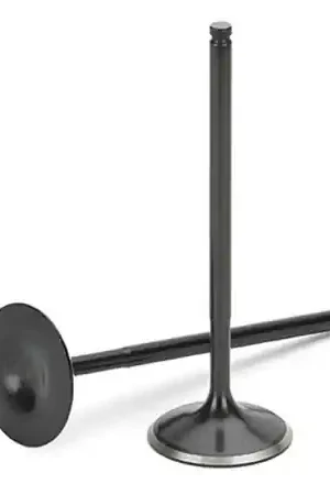 Supertech Nissan RB26DETT Black Nitrided Intake Valve - Set of 12 Shop Now