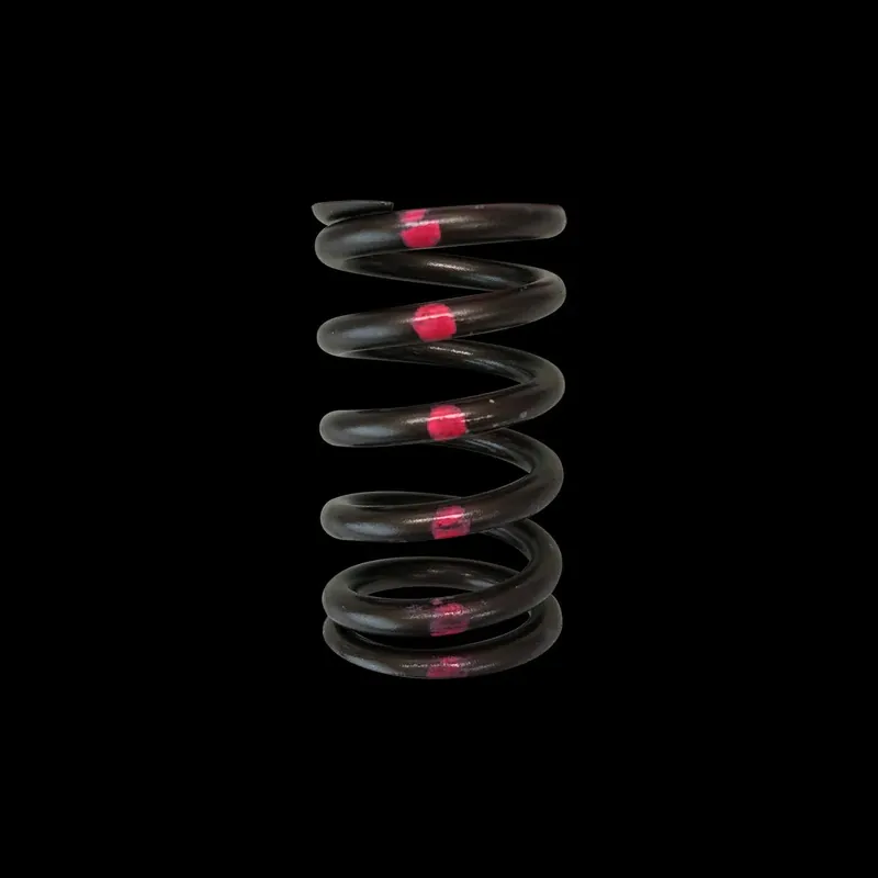 Wholesale Brian Crower Brian Crower Nissan SR20DE Single Valve Springs (Single Spring - Price is each)